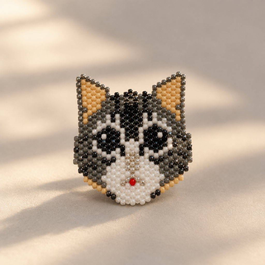 Miyuki kedi broşu stüdyo çekimi